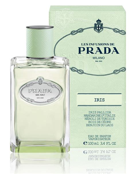 infusion cedre prada fragrantica|iris prada infusion perfume.